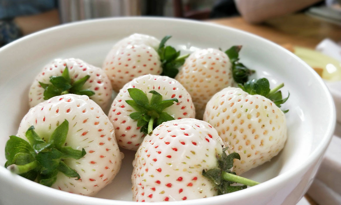 奶油草莓2.jpg